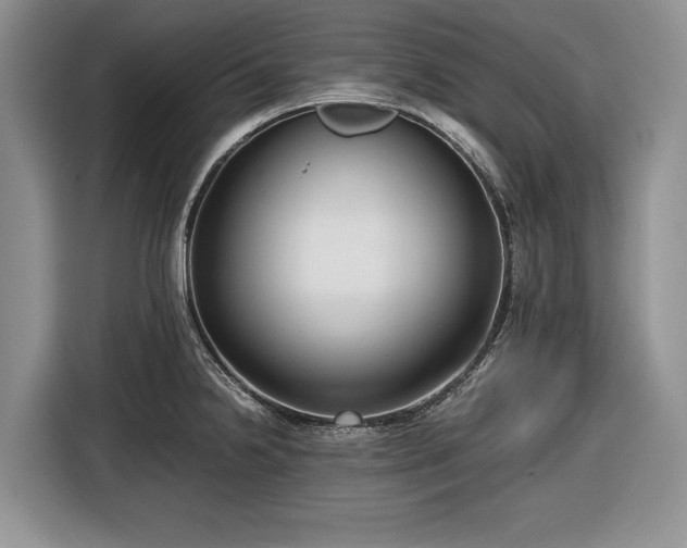 X0000116661238200912211501