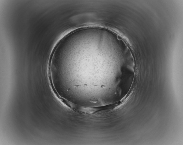 X0000116661239200912211501