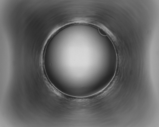 X0000116661240200912211501