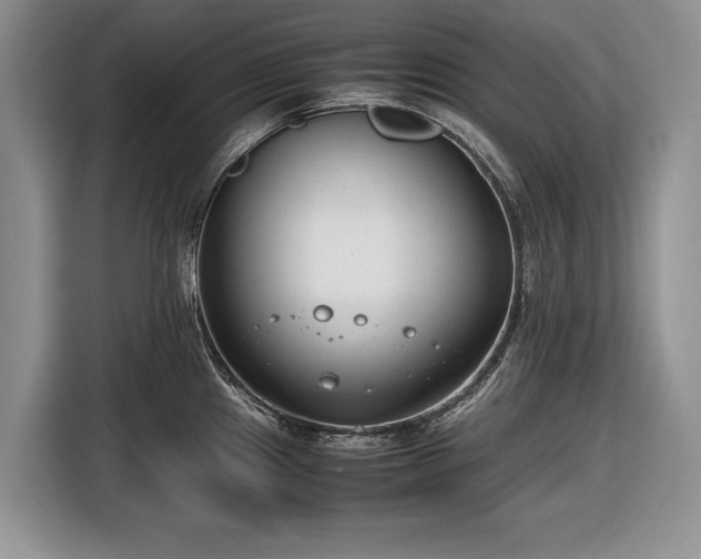 X0000116661241200912211501