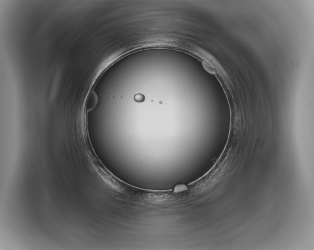 X0000116661242200912211501