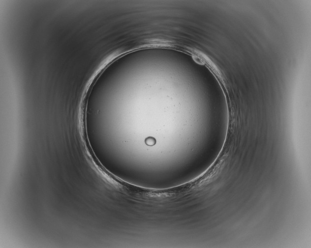 X0000116661243200912211501