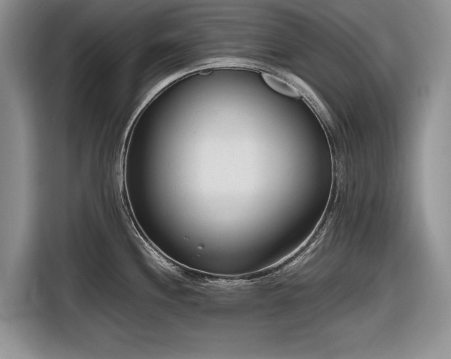 X0000116661244200912211501