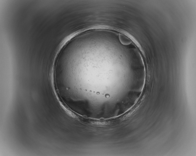 X0000116661245200912211501