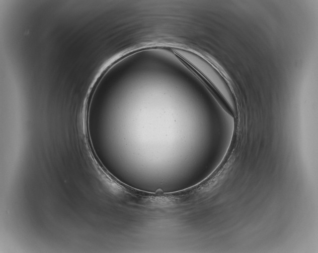 X0000116661246200912211501