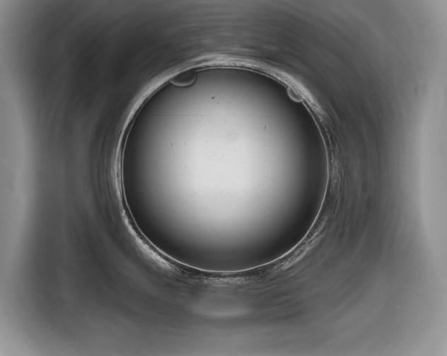 X0000116661247200912211501