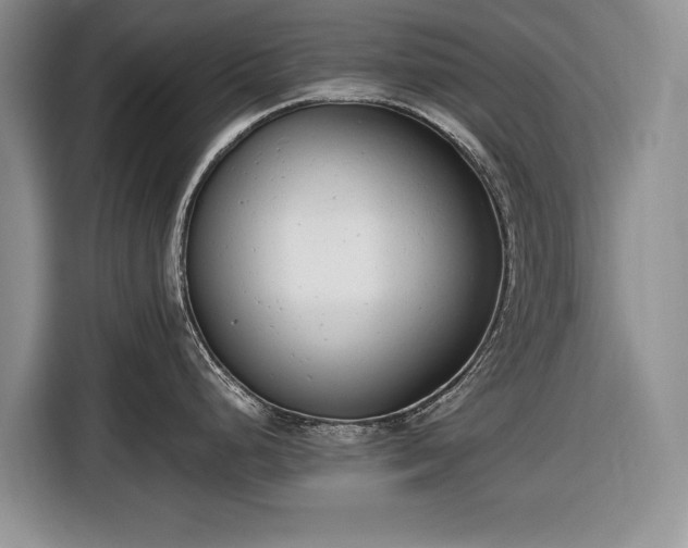 X0000116661248200912211501