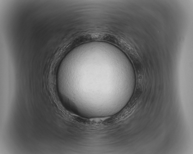 X0000116661249200912211500