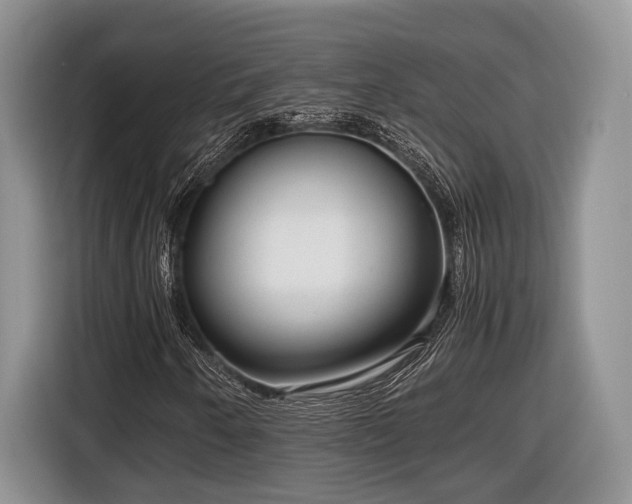 X0000116661250200912211500