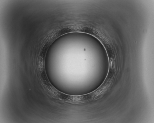 X0000116661251200912211500