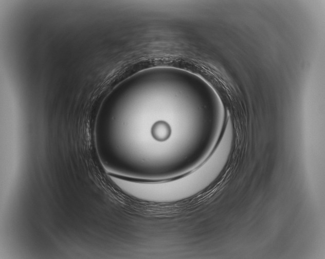 X0000116661252200912211500