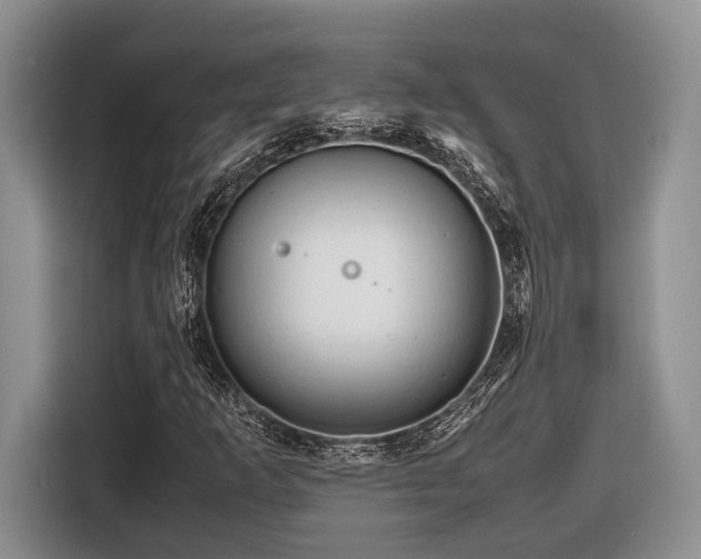 X0000116661253200912211500