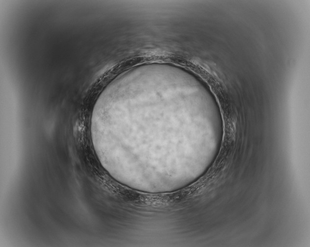 X0000116661254200912211500