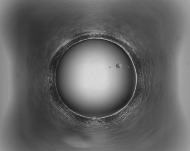 X0000116661255200912211500