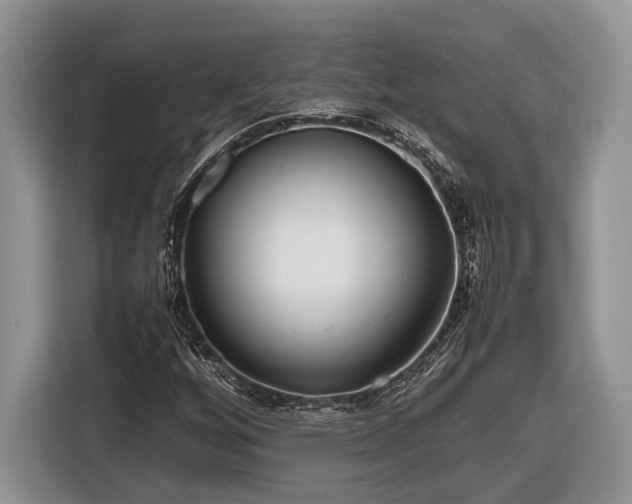 X0000116661256200912211500