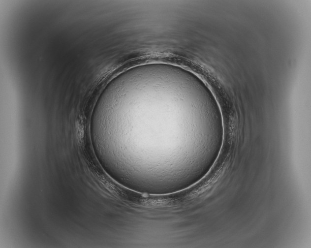 X0000116661257200912211500