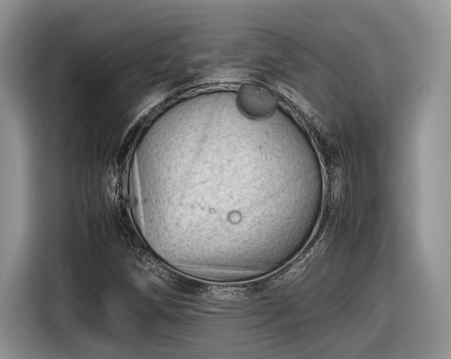 X0000116661258200912211500