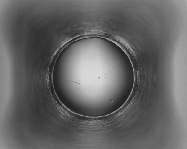 X0000116661260200912211500