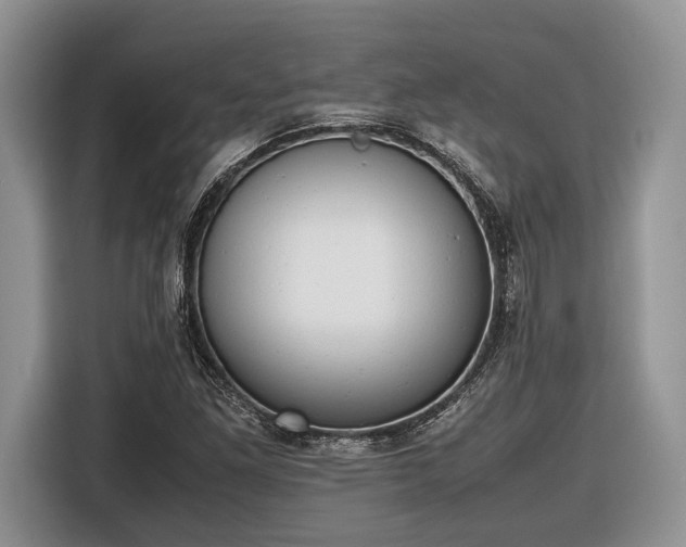 X0000116661261200912211500