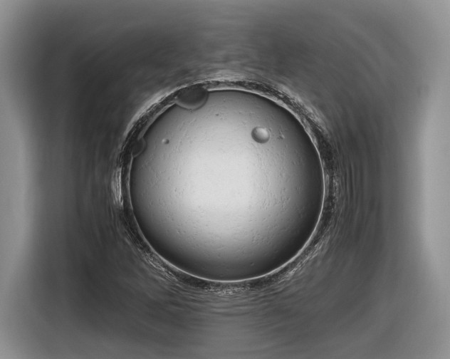 X0000116661262200912211500