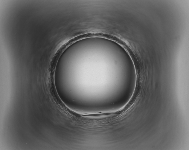 X0000116661263200912211500