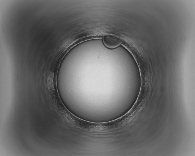 X0000116661265200912211500