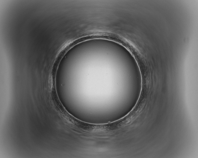 X0000116661267200912211500