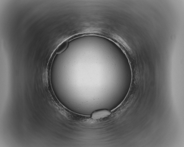 X0000116661268200912211500