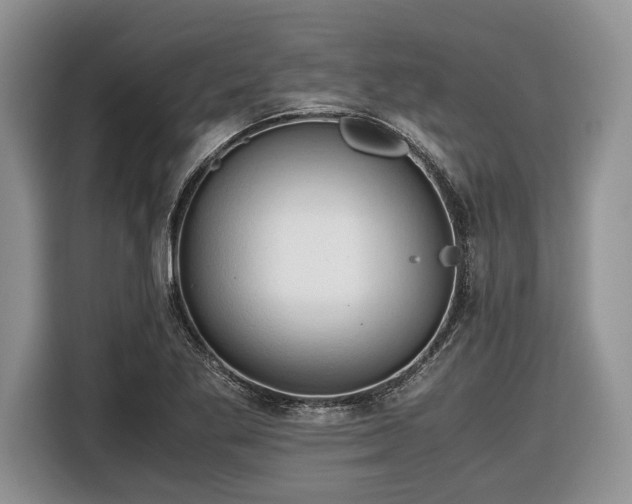 X0000116661269200912211500