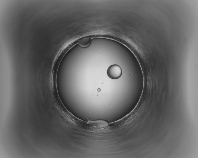 X0000116661270200912211500