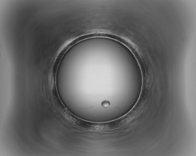 X0000116661271200912211500