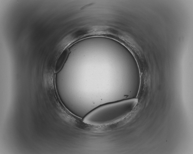 X0000116661273200912211500