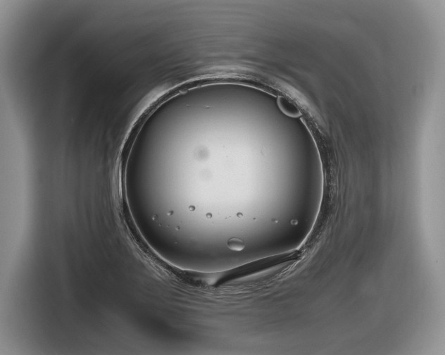 X0000116661275200912211500