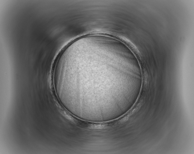 X0000116661278200912211500