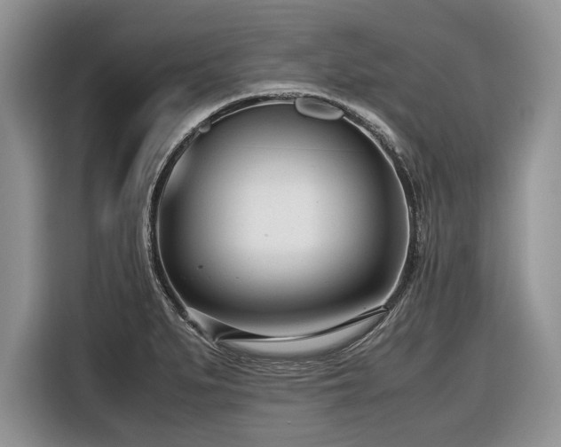 X0000116661279200912211500