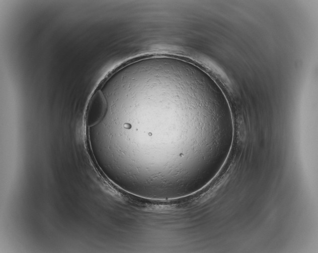 X0000116661280200912211500