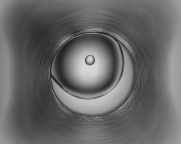 X0000116661281200912211500