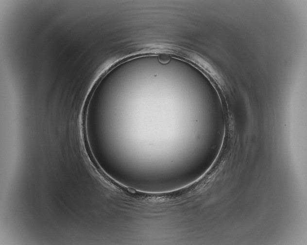 X0000116661283200912211500