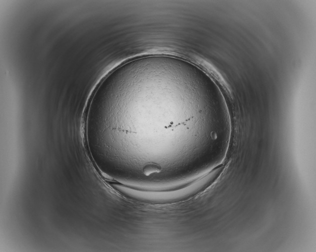 X0000116661284200912211500