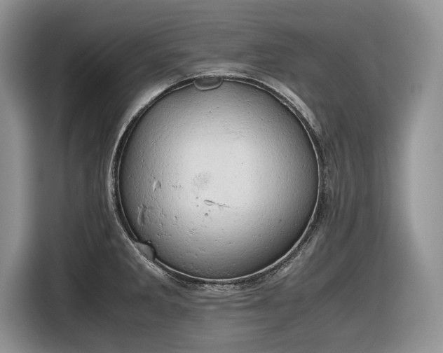 X0000116661285200912211500