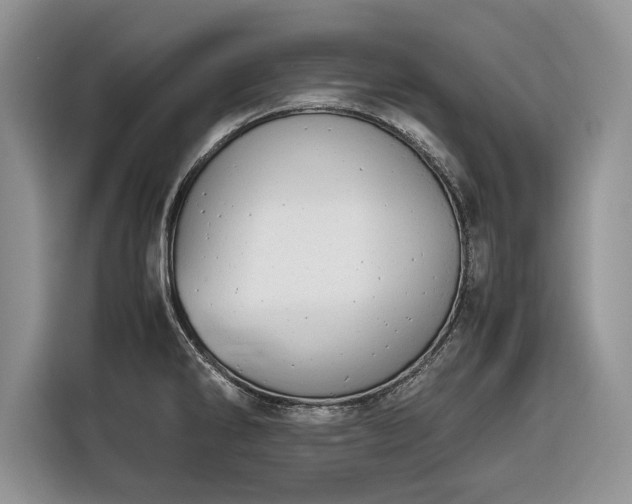 X0000116661286200912211500