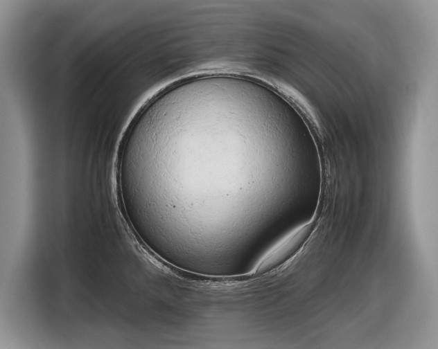 X0000116661288200912211500