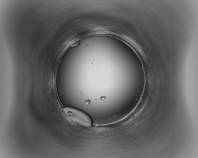 X0000116661289200912211500