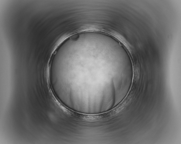 X0000116661290200912211500