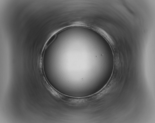 X0000116661292200912211500