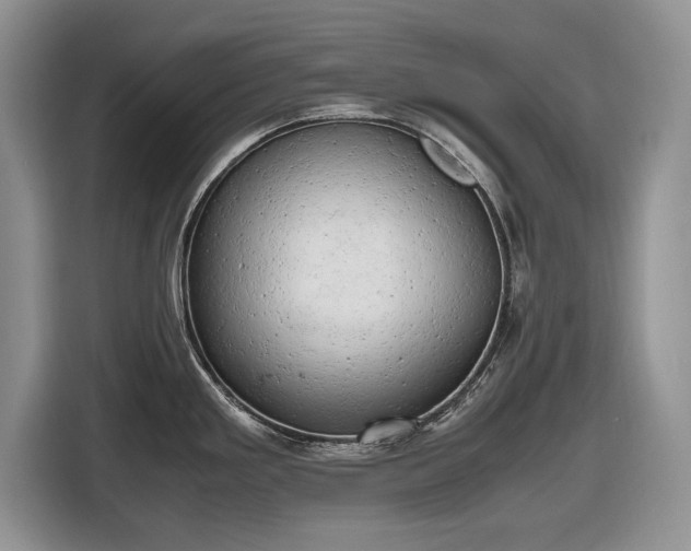 X0000116661293200912211500