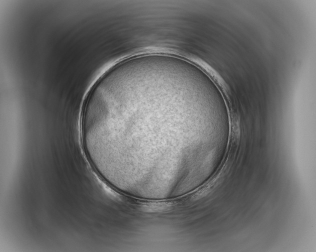 X0000116661294200912211500