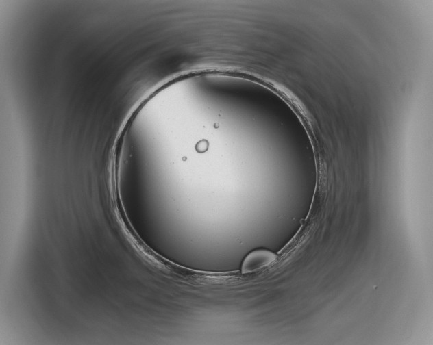 X0000116661295200912211500