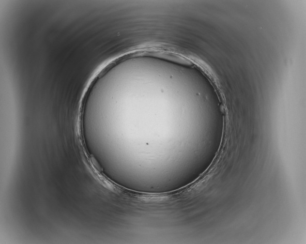 X0000116661296200912211500