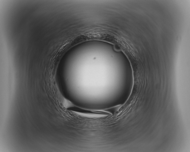 X0000116661297200912211459